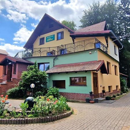 Hotel Pensjonat Bliss Polanica-Zdrój Exteriér fotografie